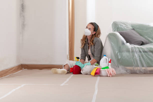 Reliable Basement Mold Removal contractor in Coopersville, MI by Cheap Mold Removal